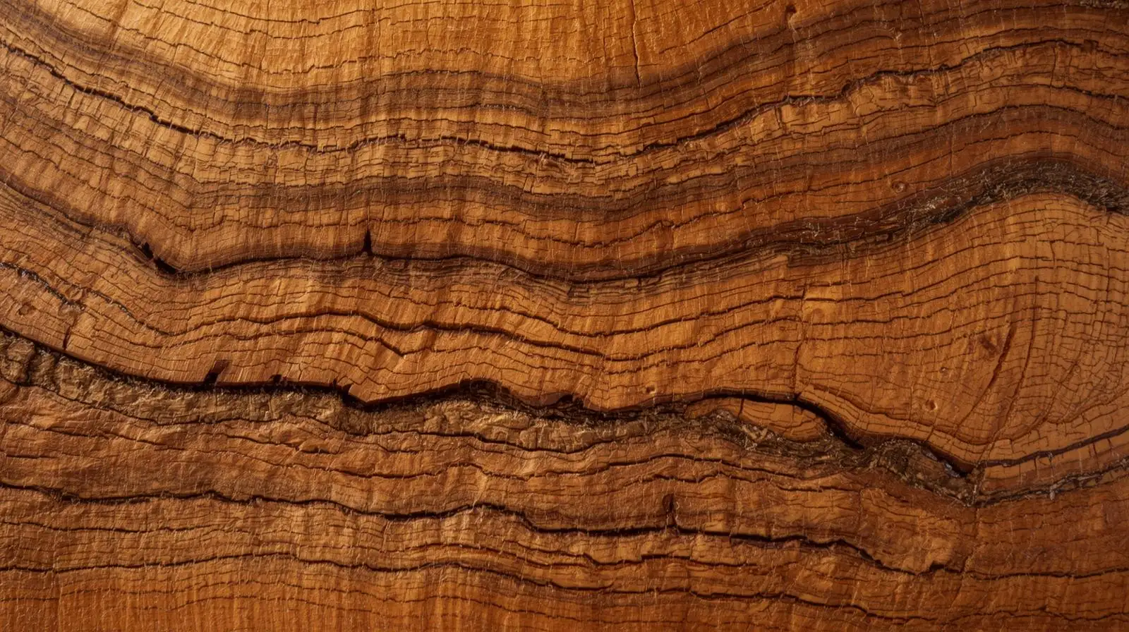 Close-up of solid sheesham wood grain for custom Legnory pieces